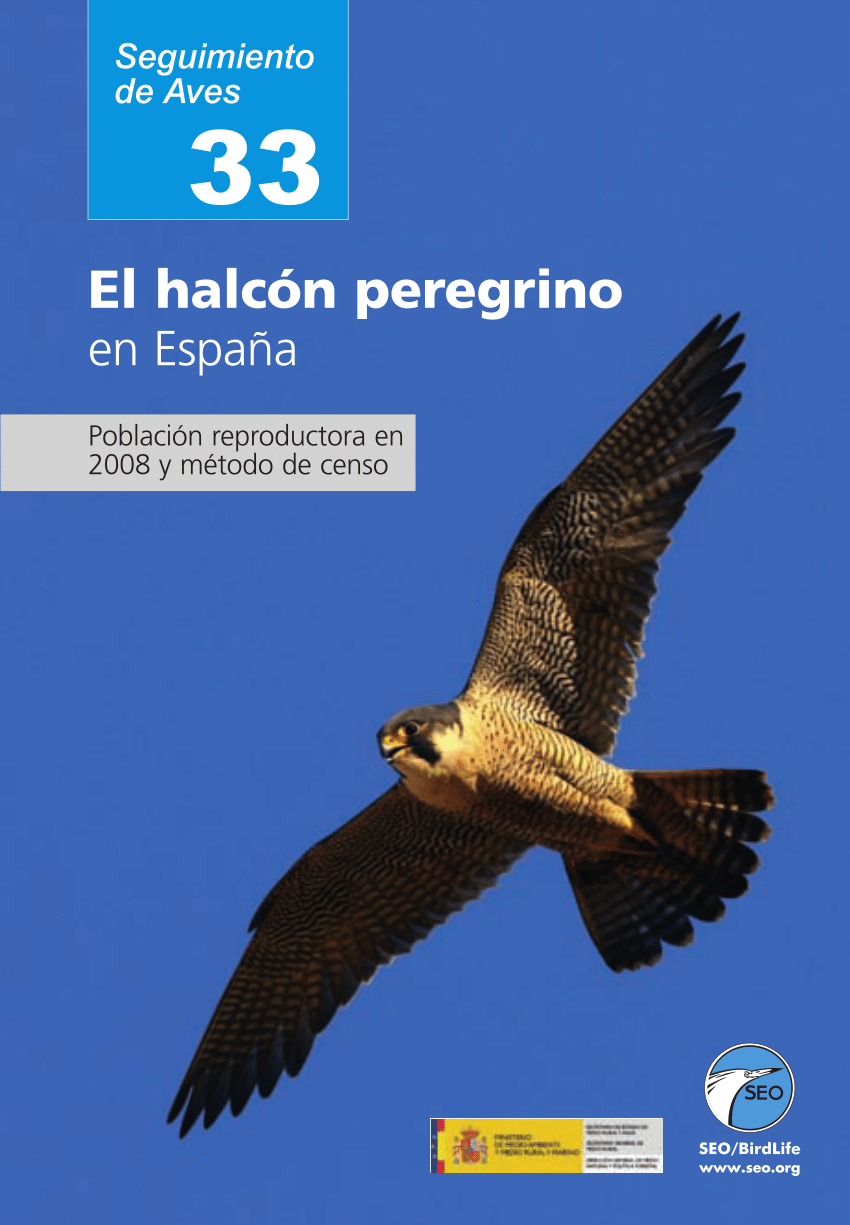 halcon pdf